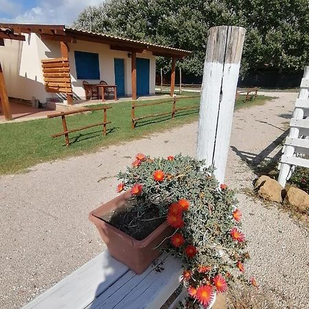 Agriturismo Oca Giuliva Lido dei Pini Exterior photo